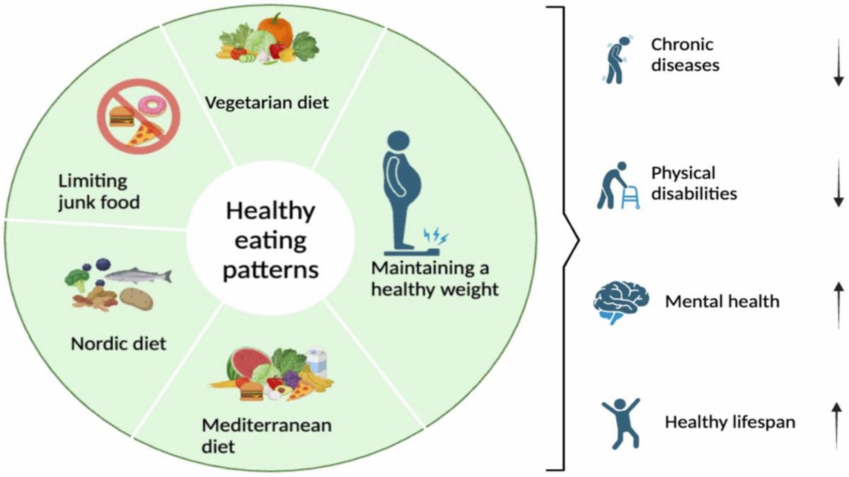 The Modern Understanding of a Healthy Diet